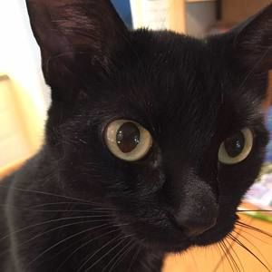 Meet your Posher, Sandy